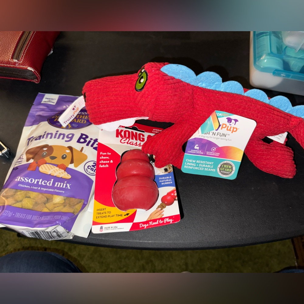 Dinosaur Toy Kong and dog training treats